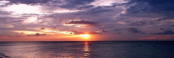 annmonamint's profile banner image