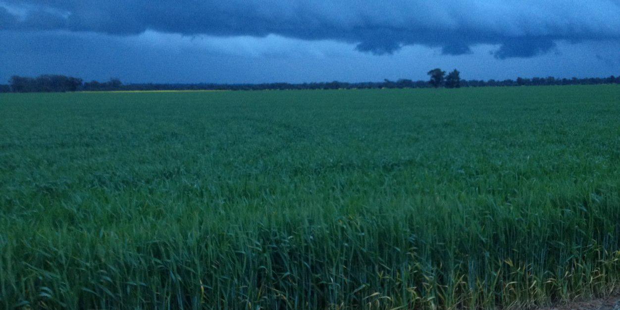 Andrew Sinclair banner