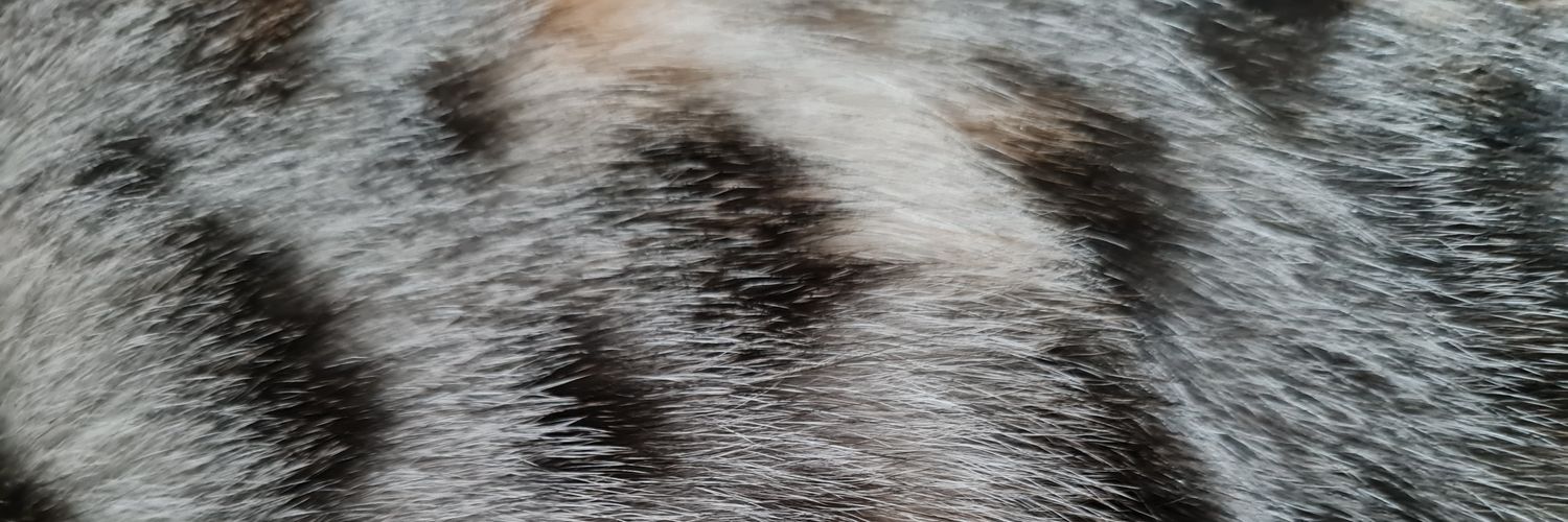 new_reads's profile banner image