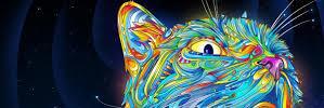 Leaseeste_'s profile banner image