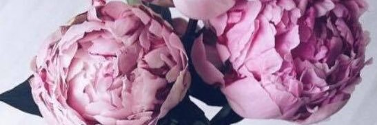 Staci Cazenave banner