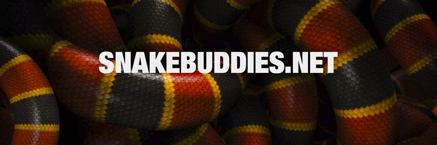 SnakeBuddies.net banner