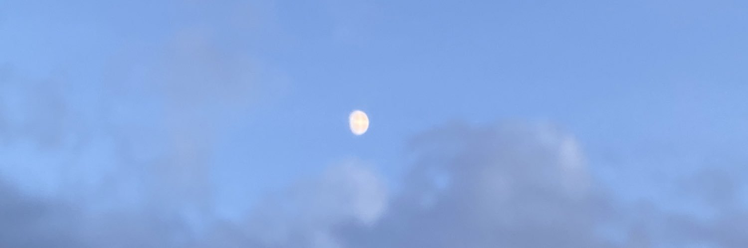 🌙 banner