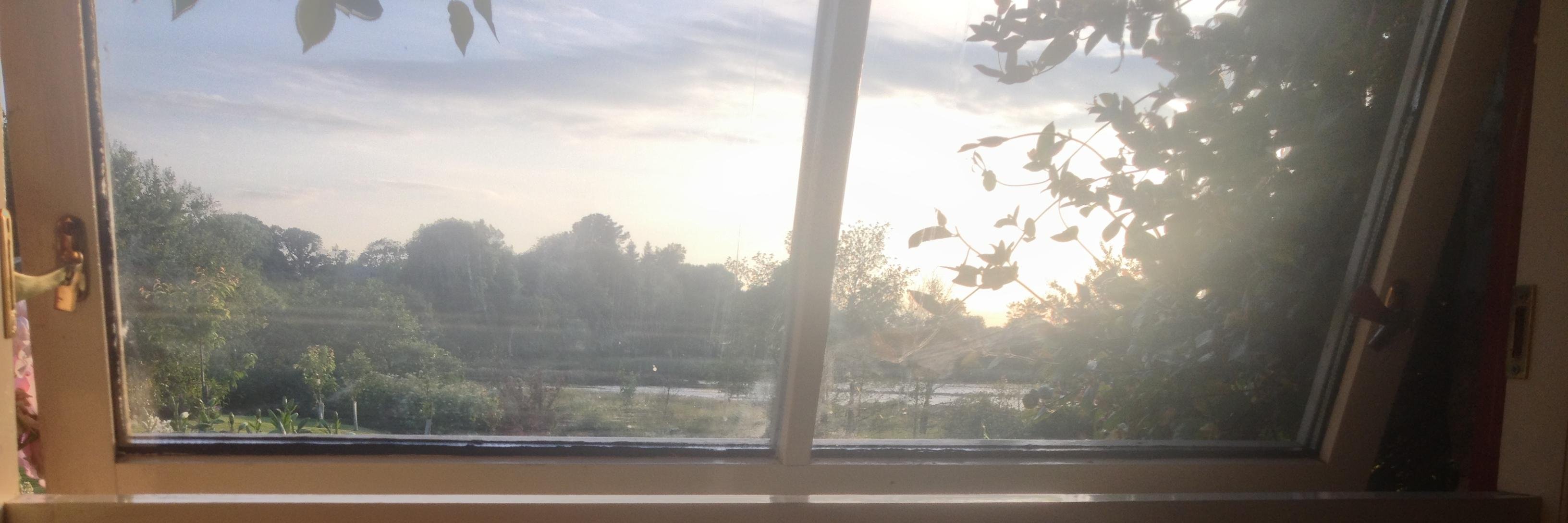 Dr Anna Stenning banner