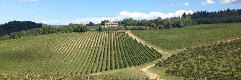 apivirotto's profile banner image