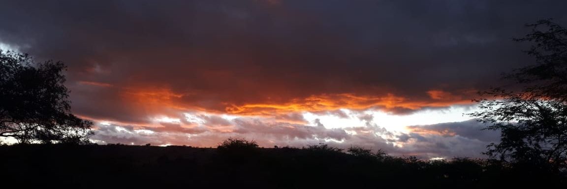 samuel_barros's profile banner image