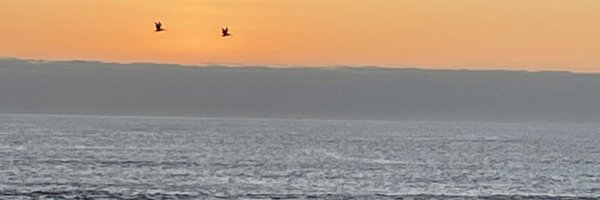 jnavin Profile Banner
