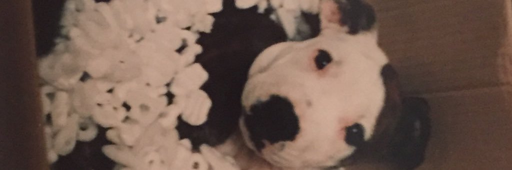 jesuli_9's profile banner image