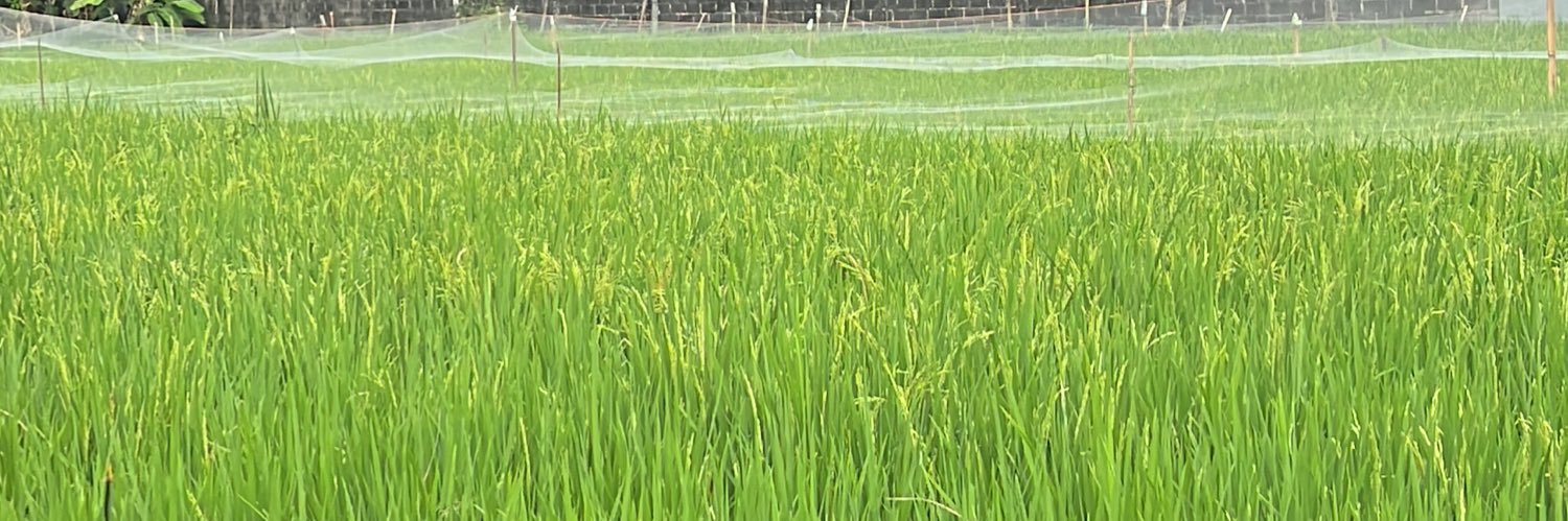 Power Ranger Biru banner