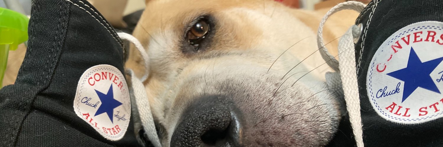 Samphis's profile banner image