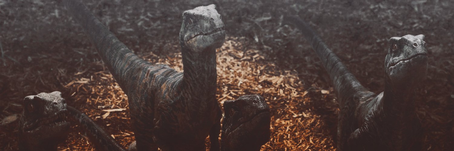 anxtherbeta's profile banner image