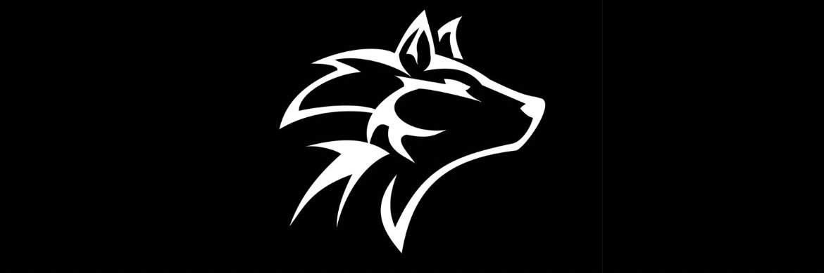 lobosuadmx's profile banner image