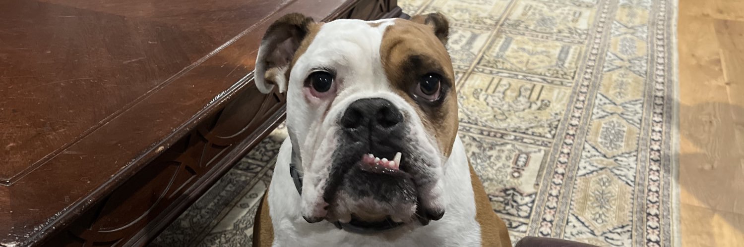 Buster🥩🥓🧈🍳 banner