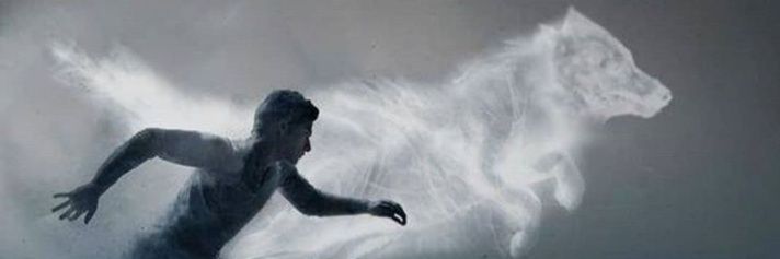 DiiegoLife's profile banner image