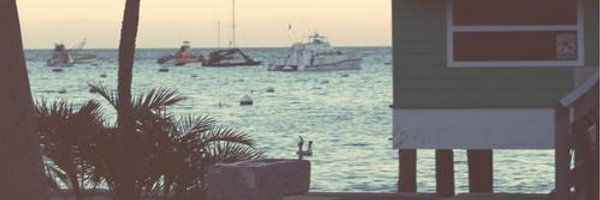 tglove4 Profile Banner