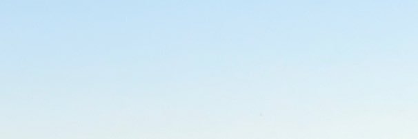 C-Suite Communist ⚜️ banner