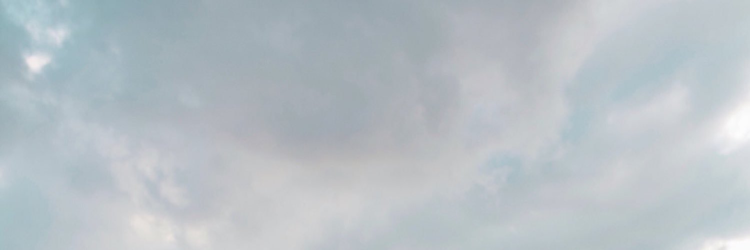 EvergreenGrande's profile banner image