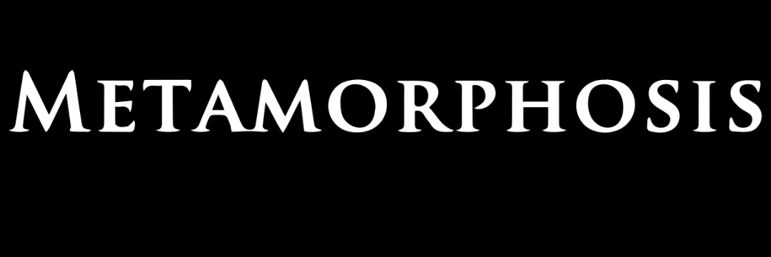 Metamorphoisiis's profile banner image