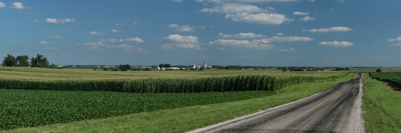 cmauction's profile banner image