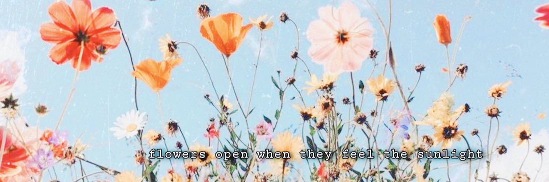 keishalenee's profile banner image