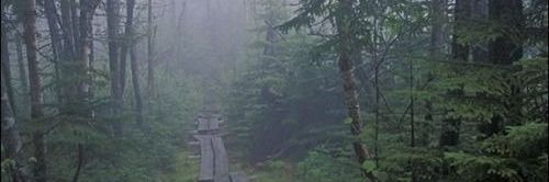 hallow_loam's profile banner image