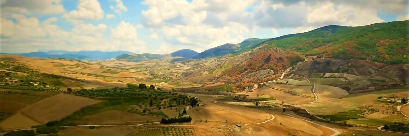 Michael J. Cox banner