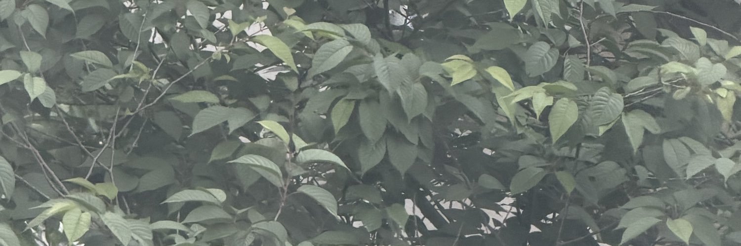 JayDee_GG's profile banner image