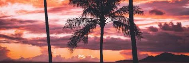 thamy_gnr's profile banner image