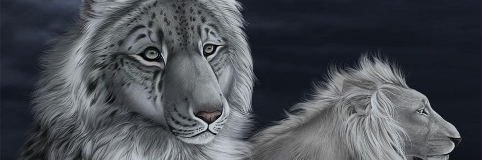 marco7729's profile banner image