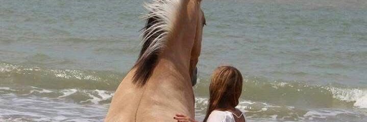 Millie “Shown Furcotte” Eder 🇵🇸 (She/Her)🏳️‍⚧️ banner