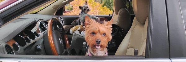 CelesteHunterCH Profile Banner