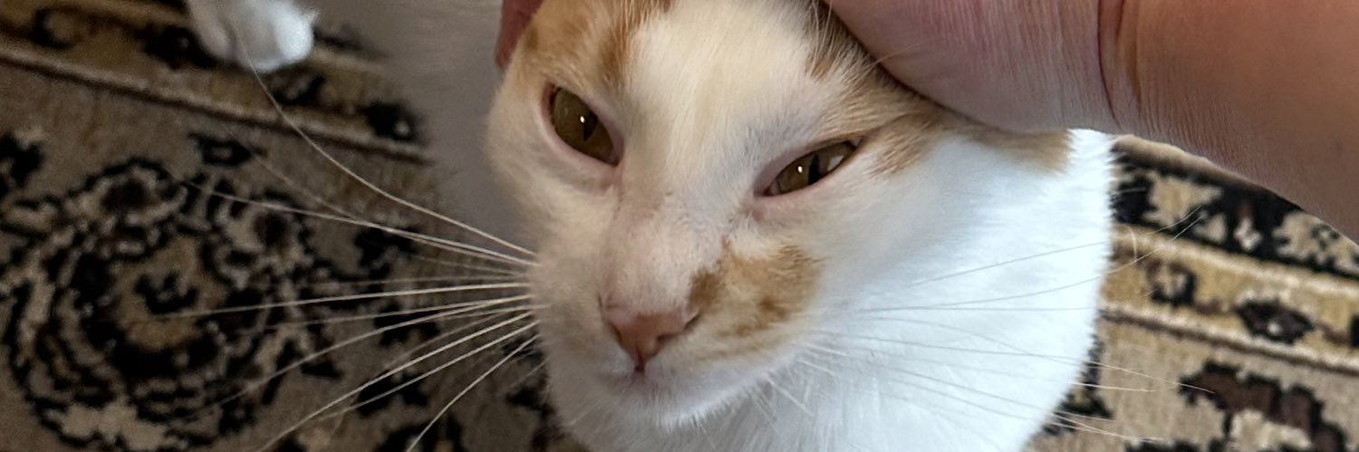 im called nice pete banner