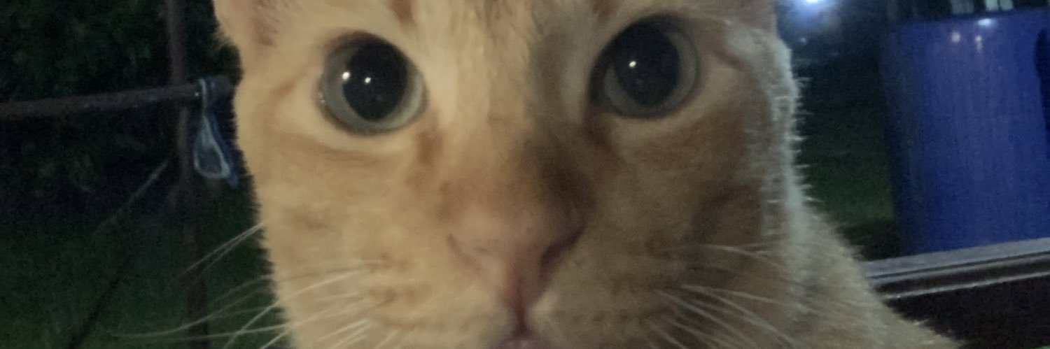 le 𝕱𝖆𝖙𝖎𝖓 banner