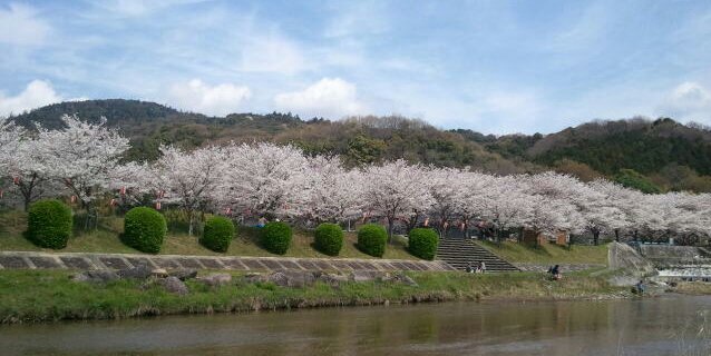 wkn04081's profile banner image