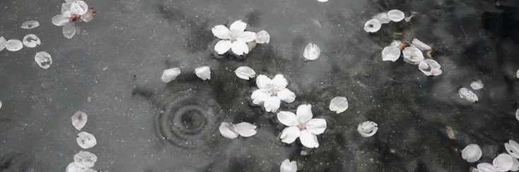 tag_nnn_'s profile banner image