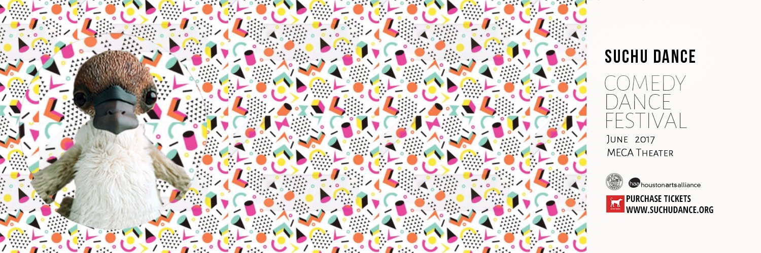 suchudance's profile banner image