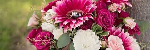 amy_bloxham's profile banner image