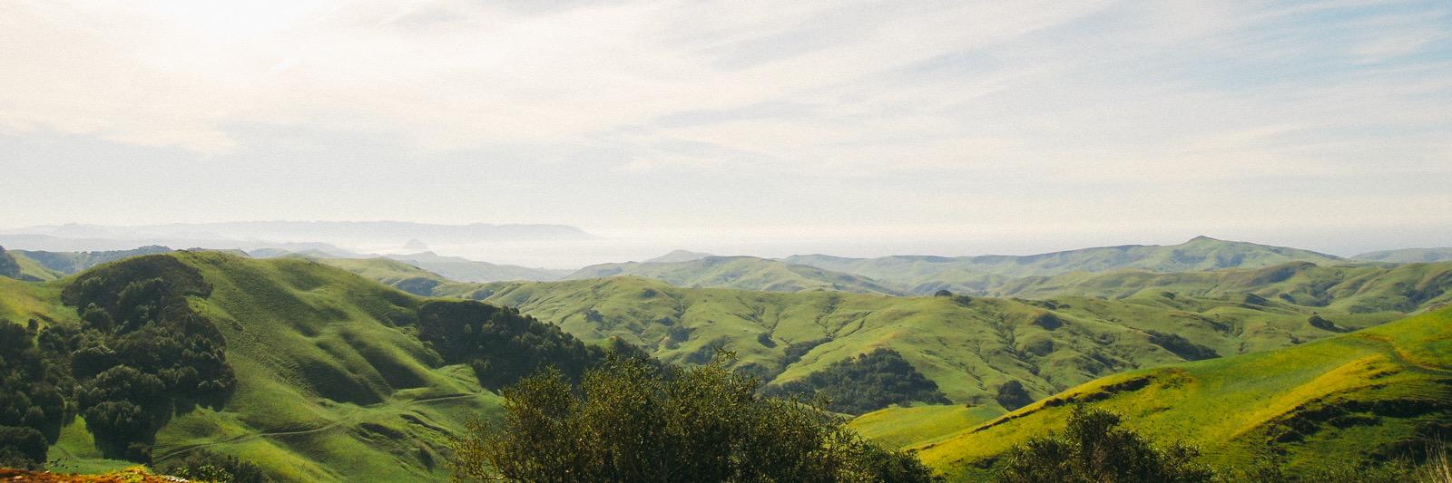eddielicitra's profile banner image