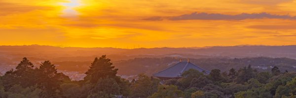 mysilicon Profile Banner