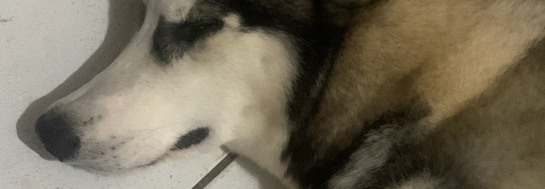 DougOnassis's profile banner image