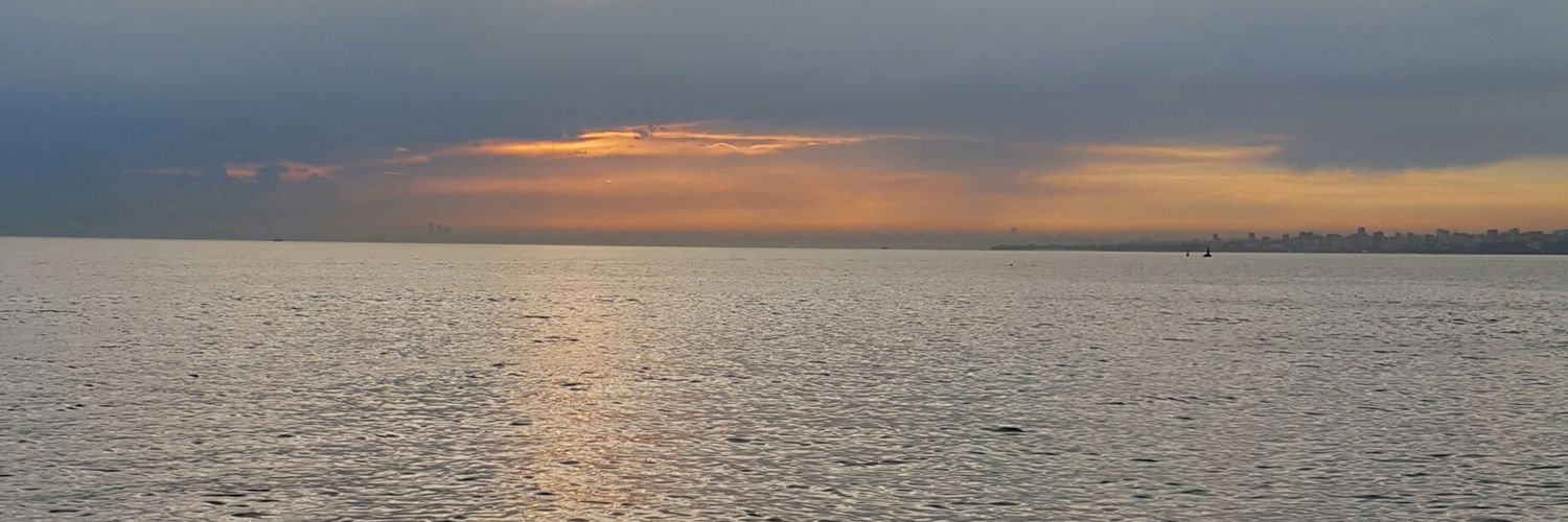zeynep didem banner