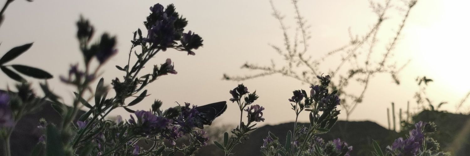 Juddyabotte's profile banner image