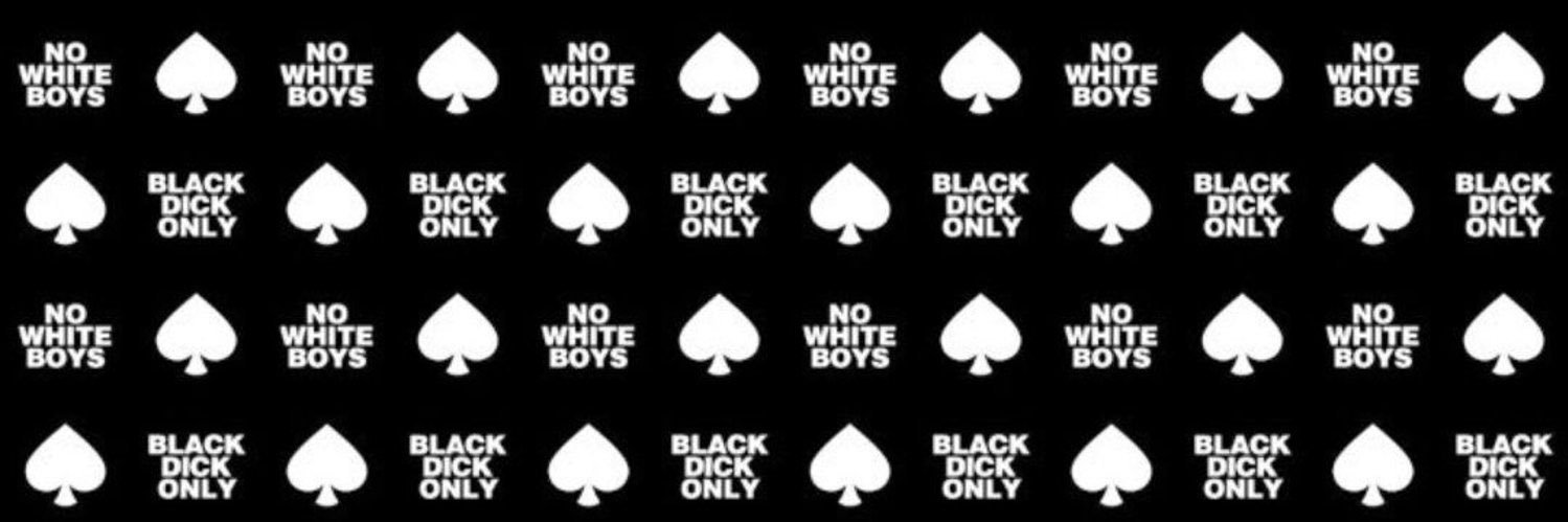 Curious Cat ♠️ banner