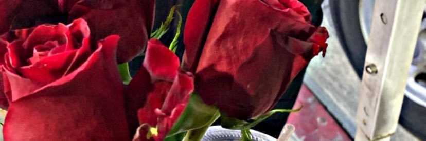lidiaxmart's profile banner image
