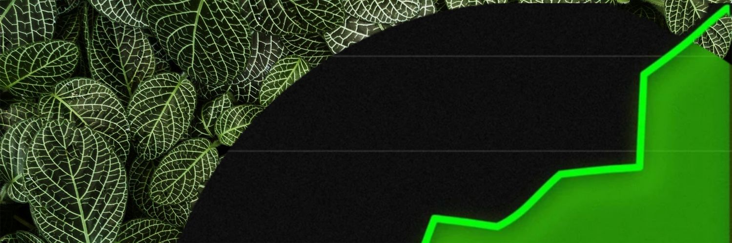 DeScientist 🫒 banner