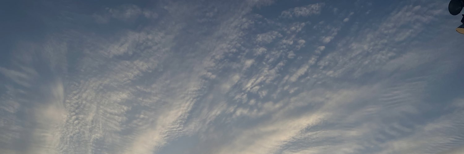 paradise__99's profile banner image