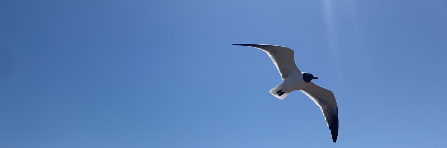 claaucorteez's profile banner image
