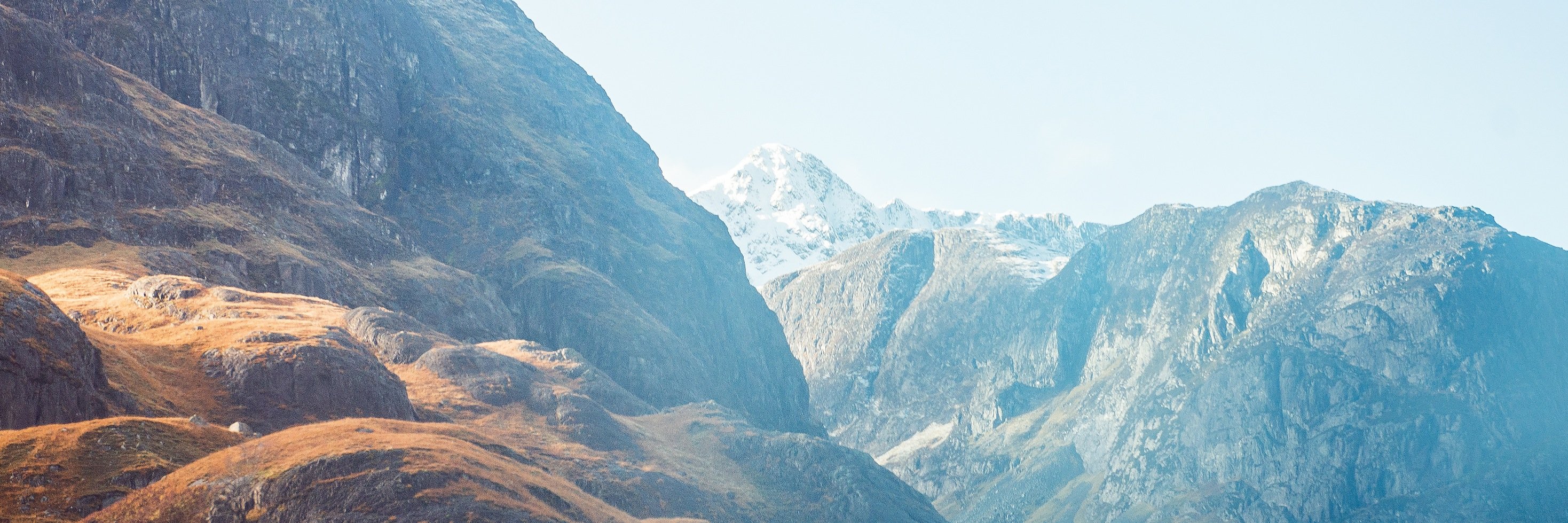 phollygraphic's profile banner image