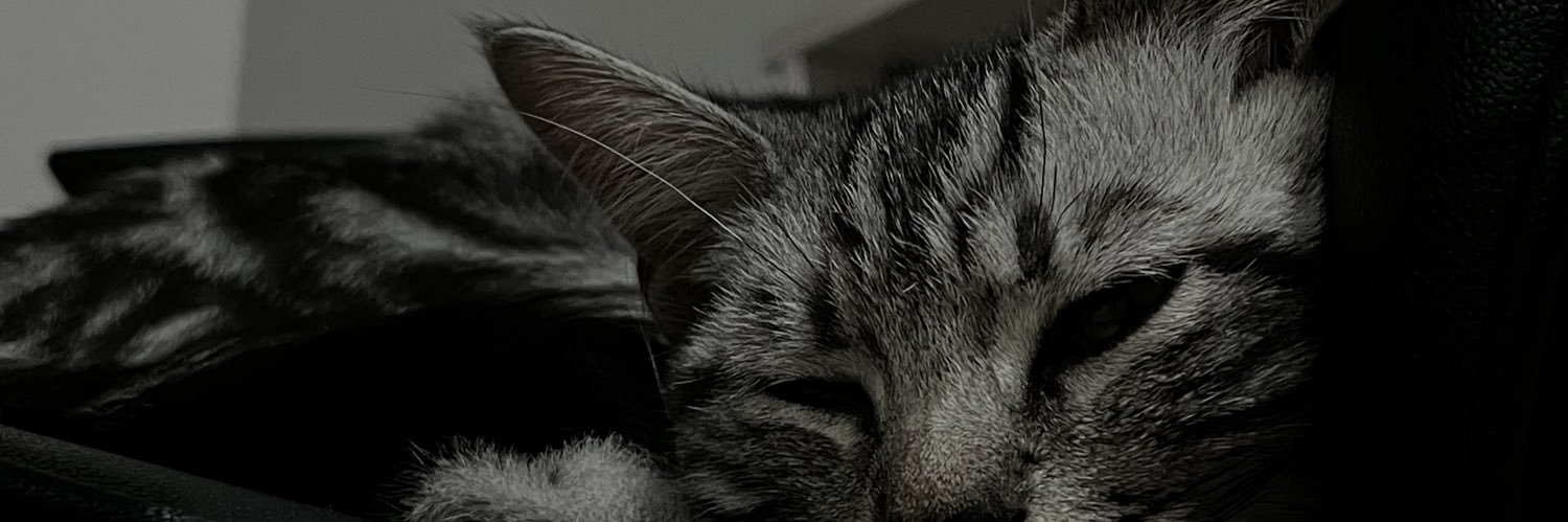 dnzsyn_'s profile banner image