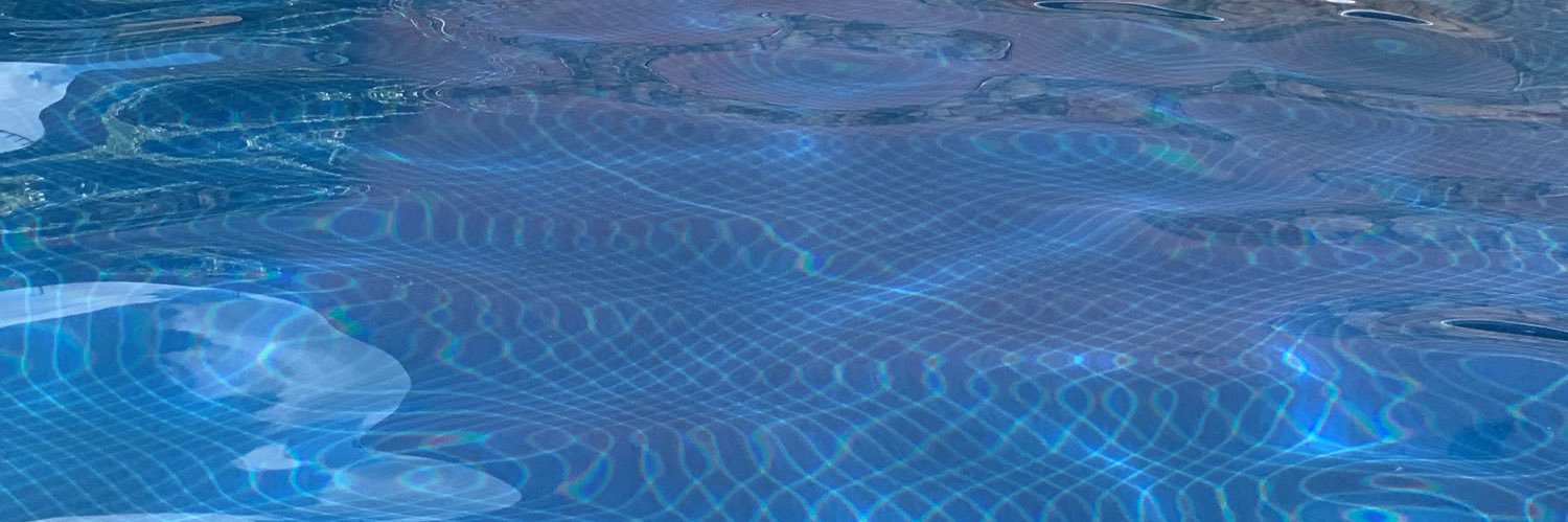 Claudia Chaves banner